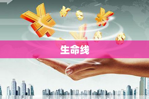 施甸生命线
