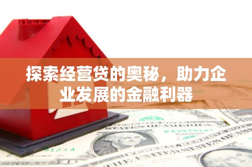 施甸探索经营贷的奥秘，助力企业发展的金融利器