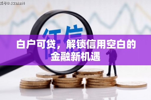 施甸白户可贷，解锁信用空白的金融新机遇
