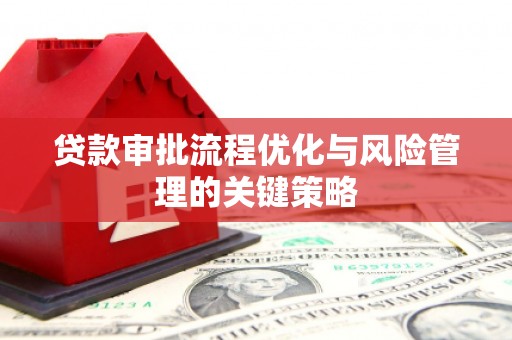 施甸贷款审批流程优化与风险管理的关键策略