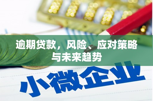 施甸逾期贷款，风险、应对策略与未来趋势