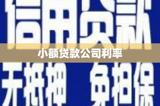 施甸小额贷款公司利率