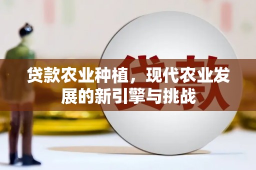 施甸贷款农业种植，现代农业发展的新引擎与挑战