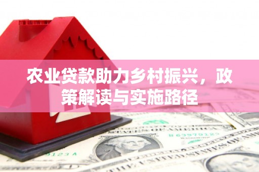施甸农业贷款助力乡村振兴，政策解读与实施路径