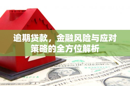 施甸逾期贷款，金融风险与应对策略的全方位解析