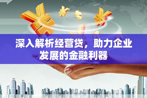 施甸深入解析经营贷，助力企业发展的金融利器