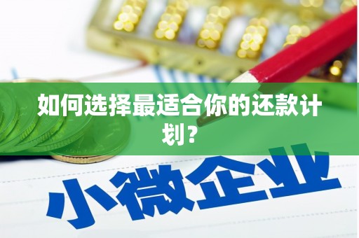 施甸如何选择最适合你的还款计划？