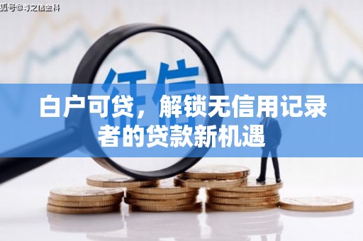 施甸白户可贷，解锁无信用记录者的贷款新机遇