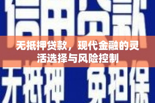 施甸无抵押贷款，现代金融的灵活选择与风险控制