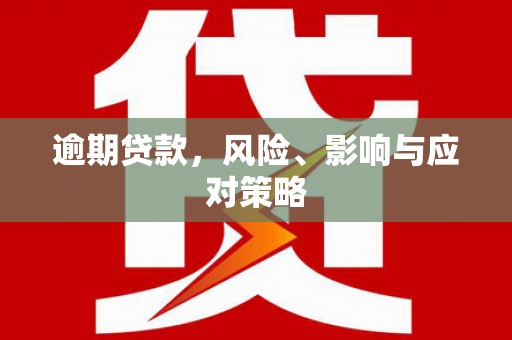 施甸逾期贷款，风险、影响与应对策略