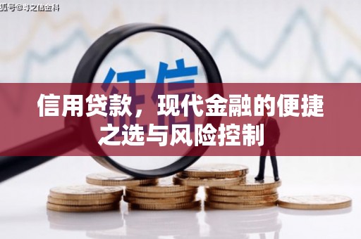 施甸信用贷款，现代金融的便捷之选与风险控制