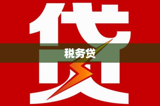 施甸税务贷