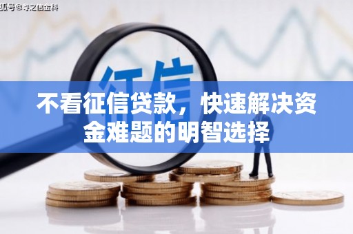 施甸不看征信贷款，快速解决资金难题的明智选择