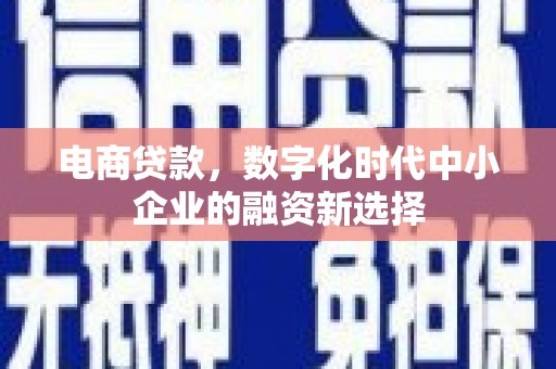 施甸电商贷款，数字化时代中小企业的融资新选择