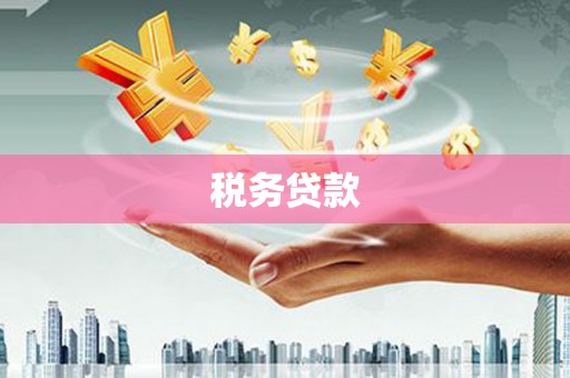 施甸税务贷款