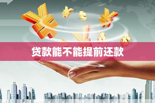 施甸贷款能不能提前还款