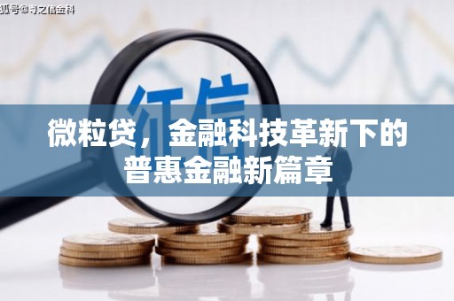 施甸微粒贷，金融科技革新下的普惠金融新篇章