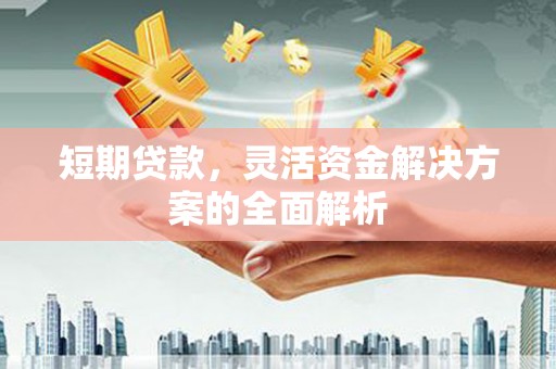 施甸短期贷款，灵活资金解决方案的全面解析