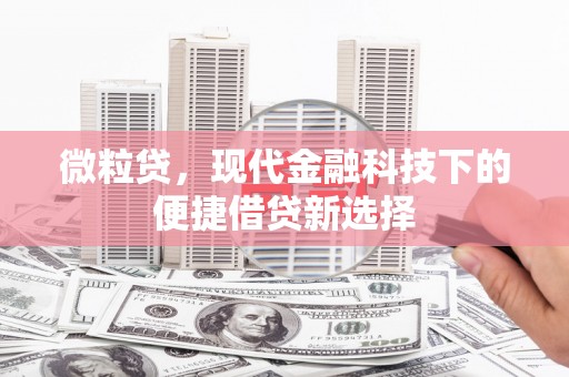 施甸微粒贷，现代金融科技下的便捷借贷新选择