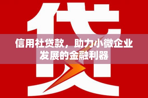 施甸信用社贷款，助力小微企业发展的金融利器