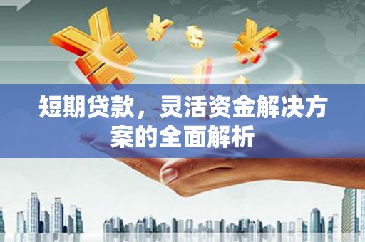 施甸短期贷款，灵活资金解决方案的全面解析