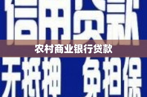 施甸农村商业银行贷款