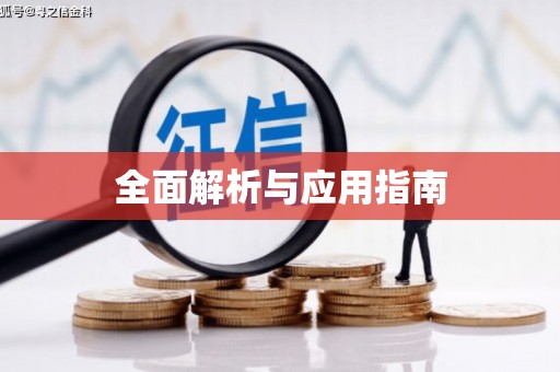 施甸全面解析与应用指南