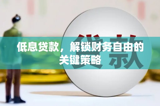 施甸低息贷款，解锁财务自由的关键策略