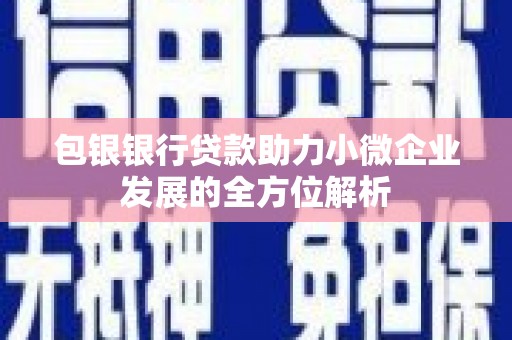施甸包银银行贷款助力小微企业发展的全方位解析