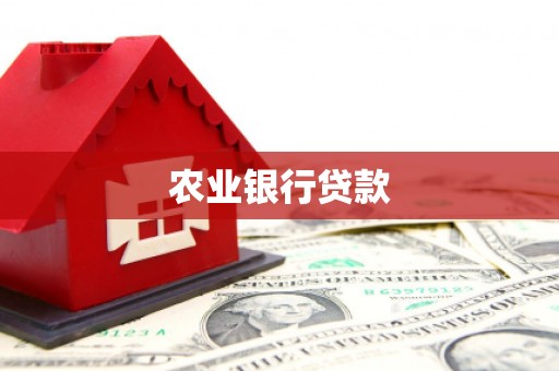 施甸农业银行贷款