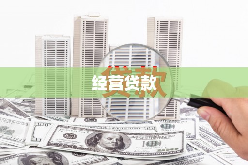 施甸经营贷款