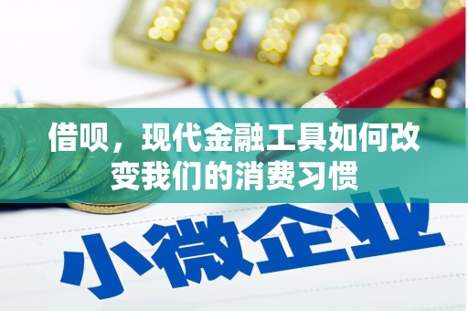 施甸借呗，现代金融工具如何改变我们的消费习惯