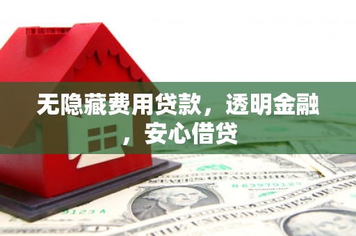 施甸无隐藏费用贷款，透明金融，安心借贷