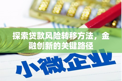 施甸探索贷款风险转移方法，金融创新的关键路径