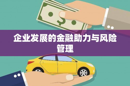 施甸企业发展的金融助力与风险管理