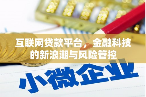 施甸互联网贷款平台，金融科技的新浪潮与风险管控