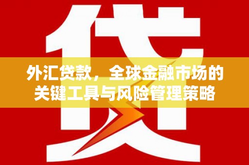 施甸外汇贷款，全球金融市场的关键工具与风险管理策略