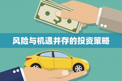 施甸风险与机遇并存的投资策略