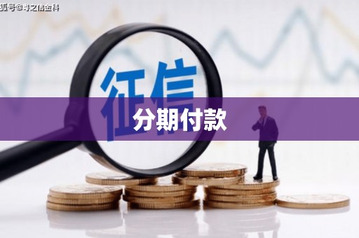 施甸分期付款