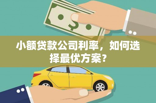 施甸小额贷款公司利率，如何选择最优方案？