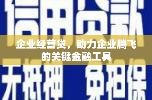 施甸企业经营贷，助力企业腾飞的关键金融工具