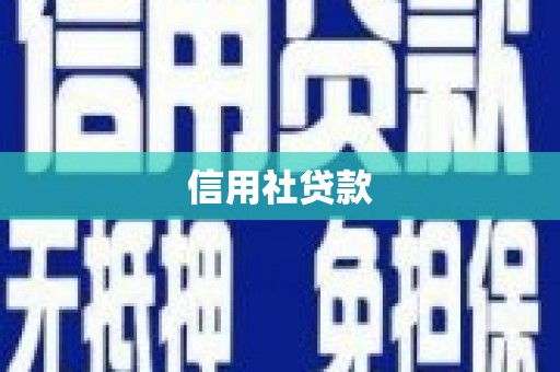 施甸信用社贷款