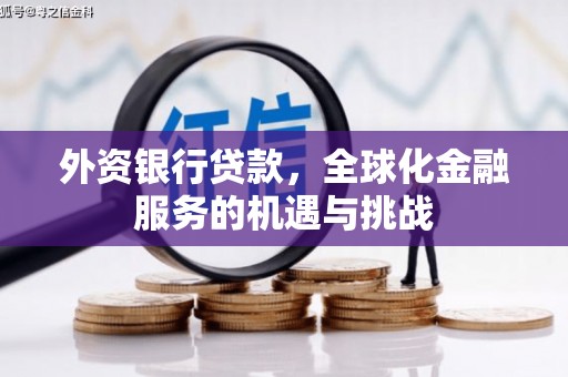 施甸外资银行贷款，全球化金融服务的机遇与挑战