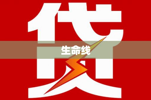 施甸生命线