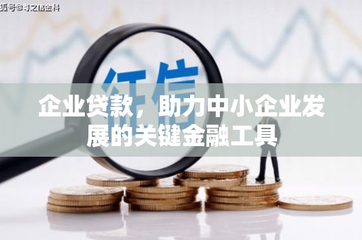 施甸企业贷款，助力中小企业发展的关键金融工具