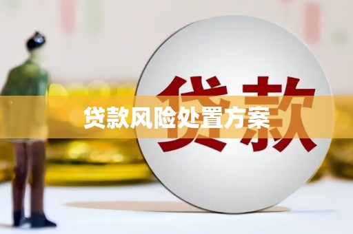 施甸贷款风险处置方案