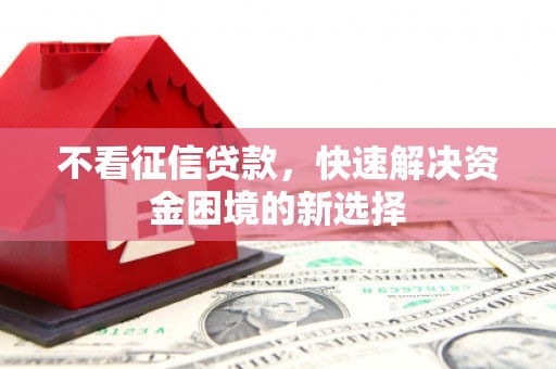 施甸不看征信贷款，快速解决资金困境的新选择