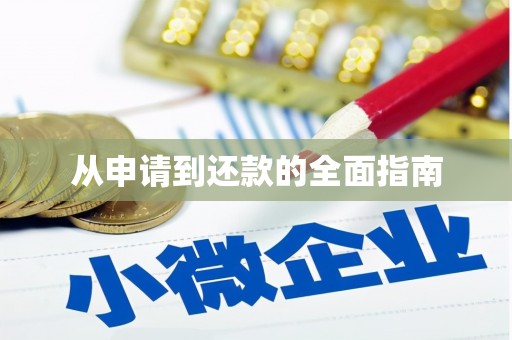 施甸从申请到还款的全面指南