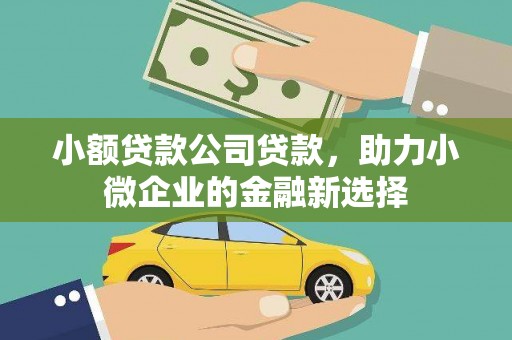 施甸小额贷款公司贷款，助力小微企业的金融新选择