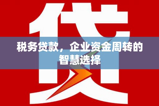 施甸税务贷款，企业资金周转的智慧选择